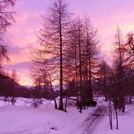 Chalet Miel De La Cayolle-Estenc Entraunes 외부 사진