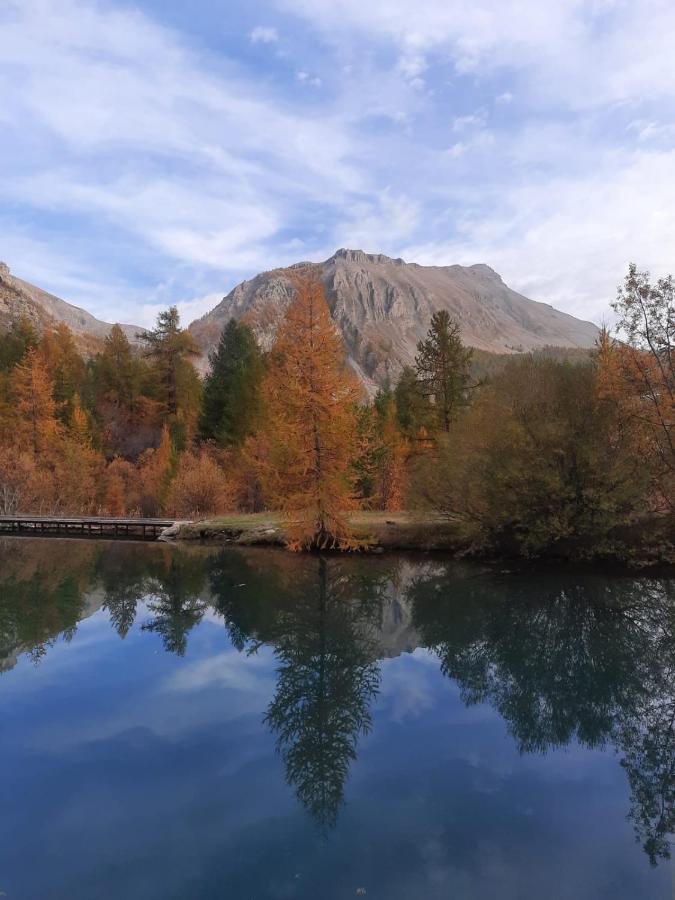 Chalet Miel De La Cayolle-Estenc Entraunes 외부 사진